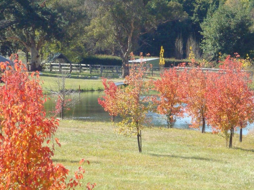Mayfield Vineyard Orange Exterior foto