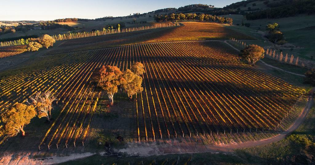 Mayfield Vineyard Orange Exterior foto